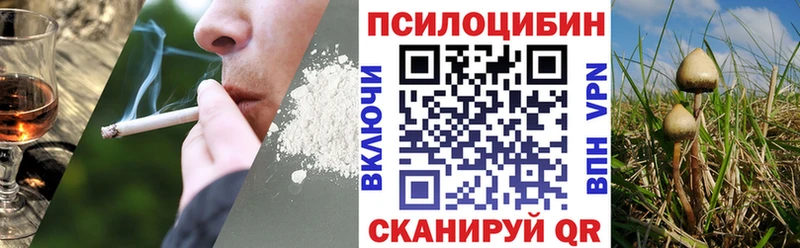 Галлюциногенные грибы Psilocybine cubensis  даркнет сайт  Сортавала 